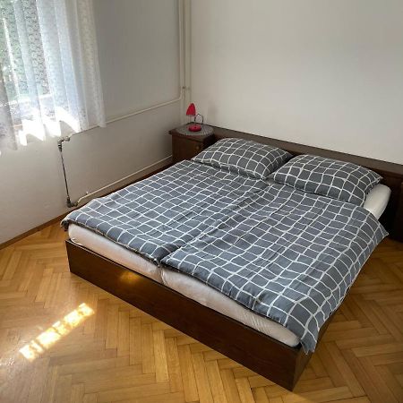 Iva Apartments Novigrad Istria エクステリア 写真