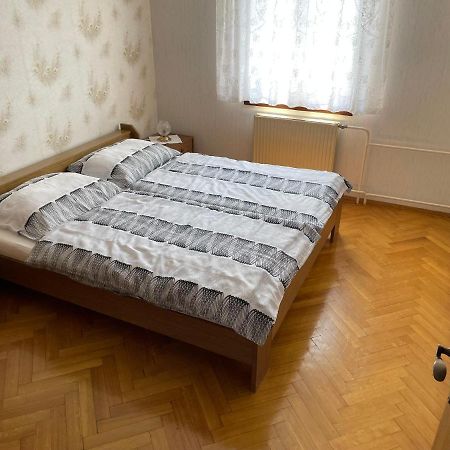 Iva Apartments Novigrad Istria エクステリア 写真