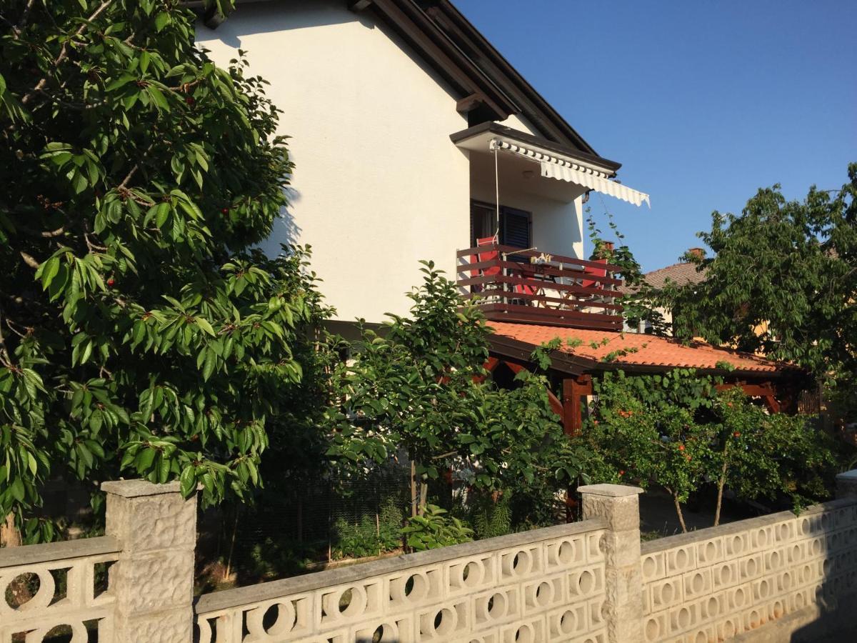 Iva Apartments Novigrad Istria エクステリア 写真