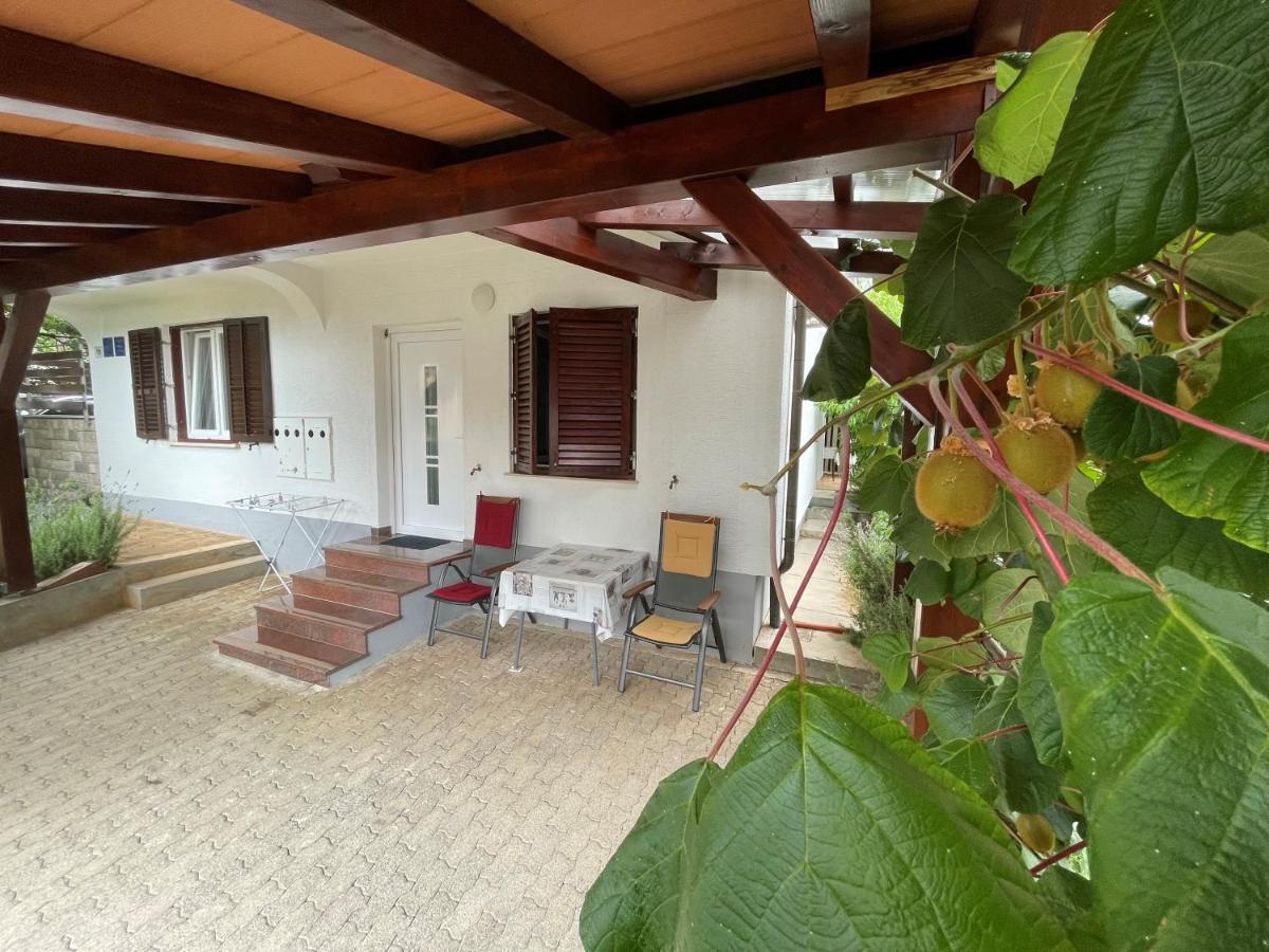 Iva Apartments Novigrad Istria エクステリア 写真