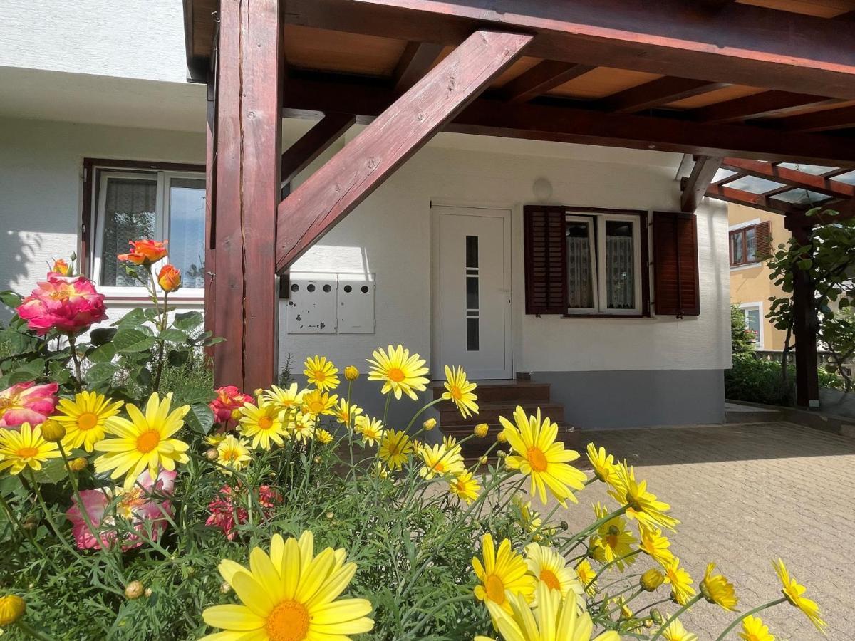 Iva Apartments Novigrad Istria エクステリア 写真